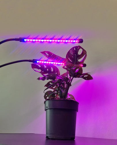 Ρυθμίστε 2 λαμπτήρες UV, για ανάπτυξη φυτών, 40 LED, USB